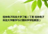 桂林电子科技大学丁畅（丁勇 桂林电子科技大学数学与计算科学学院教授）