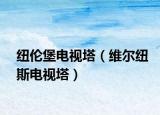 纽伦堡电视塔（维尔纽斯电视塔）
