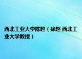 西北工业大学陈超（徐超 西北工业大学教授）