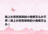 脸上长密密麻麻的小疙瘩怎么办不痒（脸上长密密麻麻的小疙瘩怎么办）