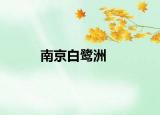 南京白鹭洲