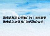 淘宝客都是如何推广的（淘宝联盟淘宝客怎么做推广技巧简介介绍）