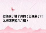 巴西属于哪个洲的（巴西属于什么洲国家简介介绍）