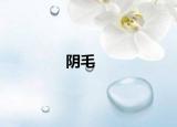 阴毛