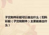 子宫附件彩超可以查出什么（妇科彩超（子宫和附件）主要能查出什么）