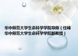 华中师范大学生命科学学院导师（任峰 华中师范大学生命科学学院副教授）