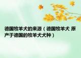 德国牧羊犬的来源（德国牧羊犬 原产于德国的牧羊犬犬种）