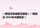 一网情深电视剧完整版（一网情深 2014年中国电影）