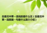 自是花中第一流说的是什么花（自是花中第一流前面一句是什么简介介绍）