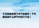 千兆路由器哪个牌子的最好（千兆路由器什么牌子好简介介绍）