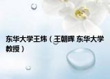 东华大学王炜（王朝晖 东华大学教授）