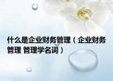 什么是企业财务管理（企业财务管理 管理学名词）