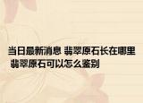 当日最新消息 翡翠原石长在哪里 翡翠原石可以怎么鉴别