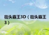 街头霸王3D（街头霸王3）