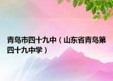 青岛市四十九中（山东省青岛第四十九中学）