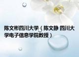 陈文彬四川大学（陈文静 四川大学电子信息学院教授）