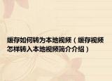 缓存如何转为本地视频（缓存视频怎样转入本地视频简介介绍）