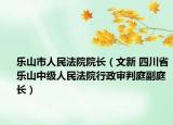 乐山市人民法院院长（文新 四川省乐山中级人民法院行政审判庭副庭长）