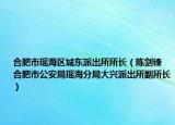 合肥市瑶海区城东派出所所长（陈剑锋 合肥市公安局瑶海分局大兴派出所副所长）