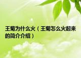 王菊为什么火（王菊怎么火起来的简介介绍）
