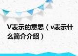V表示的意思（v表示什么简介介绍）