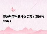 夏娃与亚当是什么关系（夏娃与亚当）