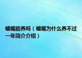 蜡嘴能养吗（蜡嘴为什么养不过一年简介介绍）