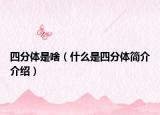 四分体是啥（什么是四分体简介介绍）