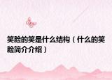 笑脸的笑是什么结构（什么的笑脸简介介绍）