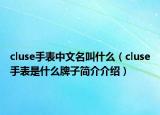 cluse手表中文名叫什么（cluse手表是什么牌子简介介绍）