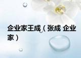企业家王成（张成 企业家）