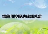 绿藤邦控股法律部总监