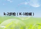 k-2步枪（K-1枪械）
