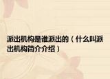 派出机构是谁派出的（什么叫派出机构简介介绍）