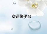 交巡警平台