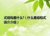 式结构是什么?（什么是结构式简介介绍）
