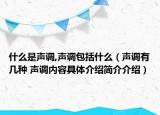 什么是声调,声调包括什么（声调有几种 声调内容具体介绍简介介绍）