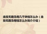走投无路急用几千块钱怎么办（走投无路急用钱怎么办简介介绍）