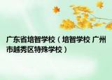 广东省培智学校（培智学校 广州市越秀区特殊学校）