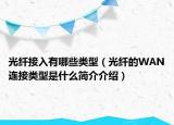 光纤接入有哪些类型（光纤的WAN连接类型是什么简介介绍）