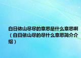 白日依山尽尽的意思是什么意思啊（白日依山尽的尽什么意思简介介绍）