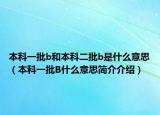 本科一批b和本科二批b是什么意思（本科一批B什么意思简介介绍）