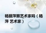 杨丽萍算艺术家吗（杨萍 艺术家）