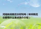 河南林州桃花谷好玩吗（林州桃花谷都有什么景点简介介绍）