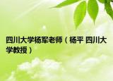 四川大学杨军老师（杨平 四川大学教授）