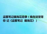 盗墓笔记藏海花目录（我在这里等你 记《盗墓笔记  藏海花》）