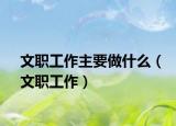 文职工作主要做什么（文职工作）