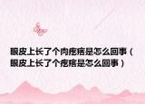 眼皮上长了个肉疙瘩是怎么回事（眼皮上长了个疙瘩是怎么回事）
