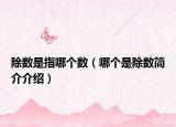 除数是指哪个数（哪个是除数简介介绍）