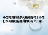 小苏打真的能杀死癌细胞吗（小苏打饿死癌细胞是真的吗简介介绍）